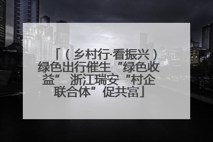 （乡村行·看振兴）绿色出行催生“绿色收益” 浙江瑞安“村企联合体”促共富