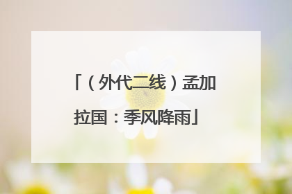 （外代二线）孟加拉国：季风降雨