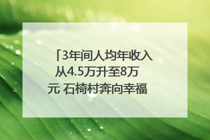 3年间人均年收入从4.5万升至8万元 石椅村奔向幸福好样子｜牵挂的村