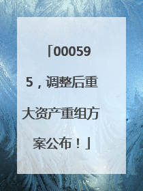 000595，调整后重大资产重组方案公布！