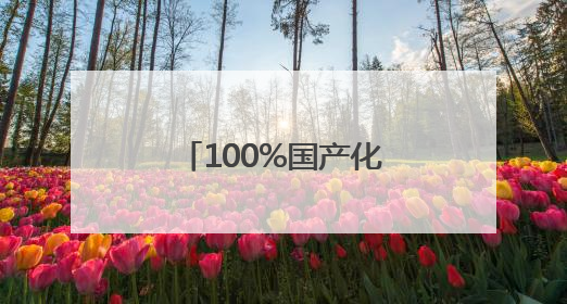 100%国产化 揭秘中国“蓝盔”作战装备