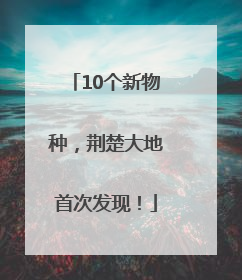 10个新物种，荆楚大地首次发现！