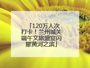 120万人次打卡！兰州城关端午文旅盛宴闪耀黄河之滨