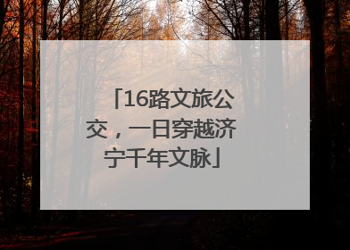 16路文旅公交，一日穿越济宁千年文脉