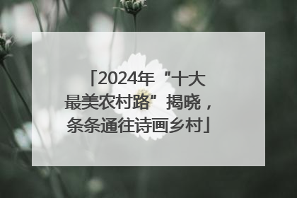 2024年“十大最美农村路”揭晓，条条通往诗画乡村