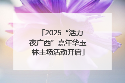 2025“活力夜广西”嘉年华玉林主场活动开启