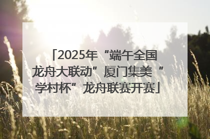 2025年“端午全国龙舟大联动”厦门集美“学村杯”龙舟联赛开赛