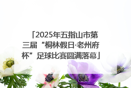 2025年五指山市第三届“桐林假日·老州府杯”足球比赛圆满落幕