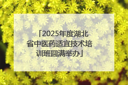 2025年度湖北省中医药适宜技术培训班圆满举办