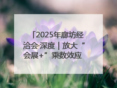 2025年廊坊经洽会·深度｜放大“会展+”乘数效应 打造消费新场景