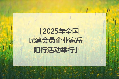 2025年全国民建会员企业家岳阳行活动举行