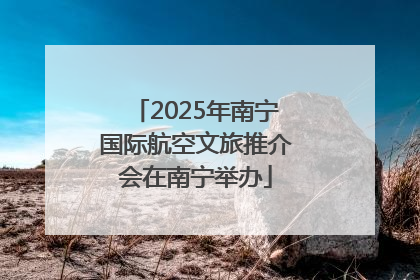 2025年南宁国际航空文旅推介会在南宁举办