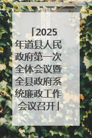 2025年道县人民政府第一次全体会议暨全县政府系统廉政工作会议召开