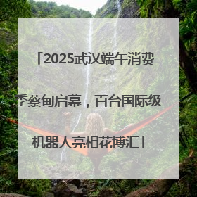 2025武汉端午消费季蔡甸启幕，百台国际级机器人亮相花博汇