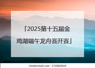 2025第十五届金鸡湖端午龙舟赛开赛