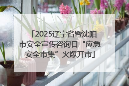 2025辽宁省暨沈阳市安全宣传咨询日“应急安全市集”火爆开市