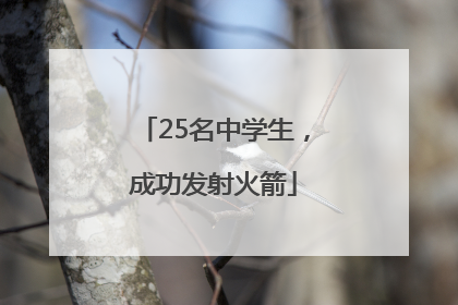 25名中学生，成功发射火箭