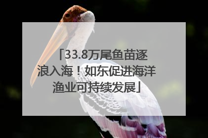 33.8万尾鱼苗逐浪入海！如东促进海洋渔业可持续发展