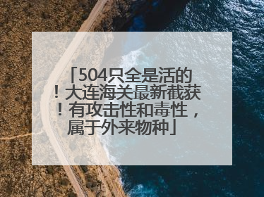 504只全是活的！大连海关最新截获！有攻击性和毒性，属于外来物种