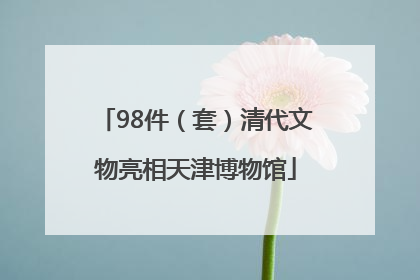 98件（套）清代文物亮相天津博物馆