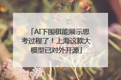 AI下围棋能展示思考过程了！上海这款大模型已对外开源