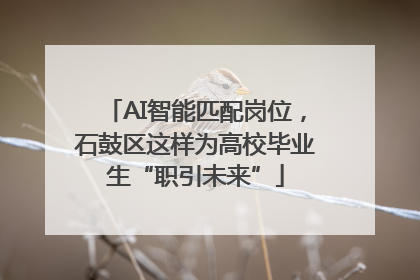 AI智能匹配岗位，石鼓区这样为高校毕业生“职引未来”